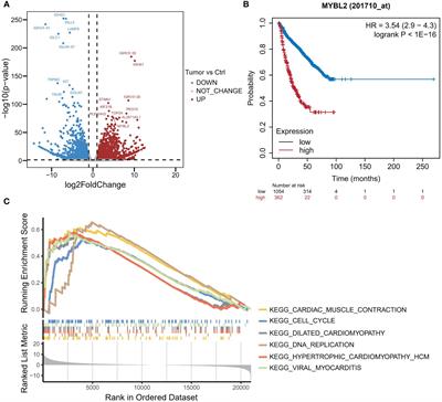 Case report: Dual-targeted BCMA and CS1 CAR-T-cell immunotherapy in recurrent and refractory extramedullary multiple myeloma